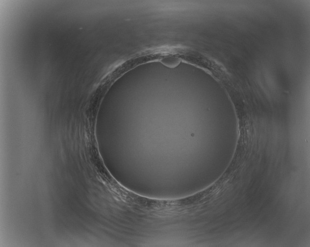 X0000060571158200511071012