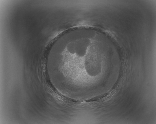 X0000060571159200511071012