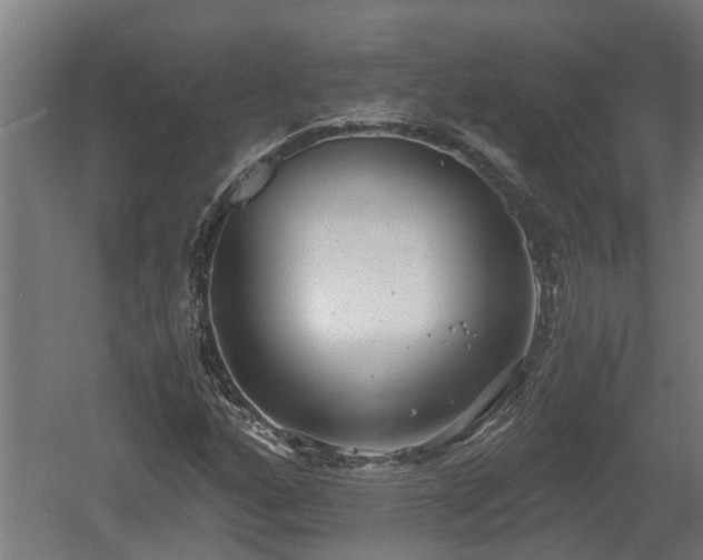 X0000060571160200511071012