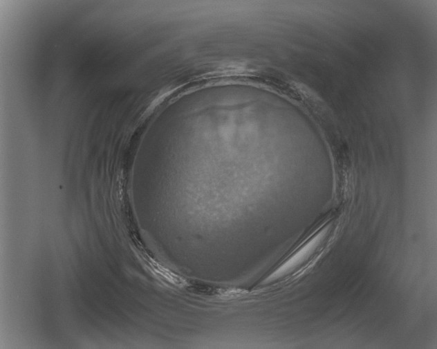 X0000060571161200511071011