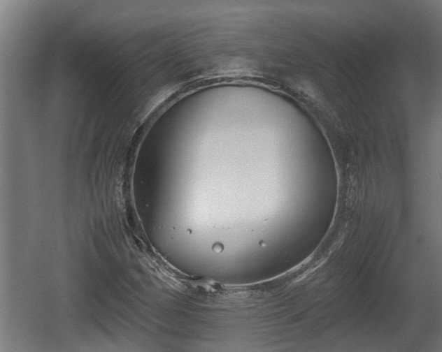 X0000060571162200511071011