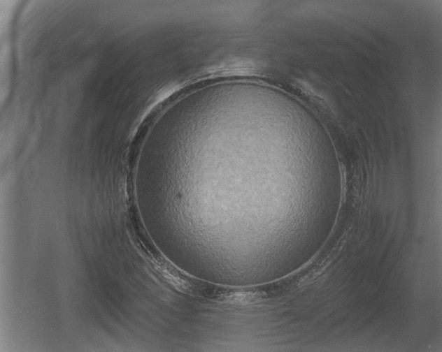 X0000060571166200511071011