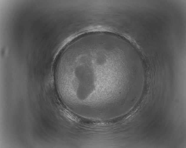 X0000060571167200511071011