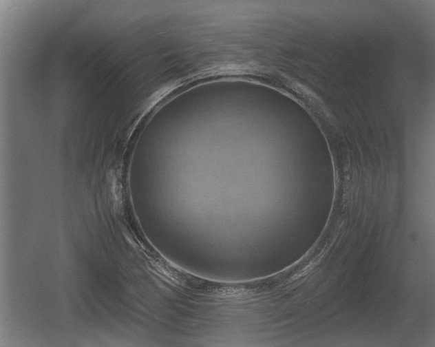 X0000060571170200511071011