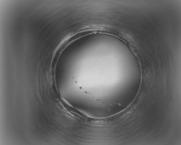 X0000060571172200511071011