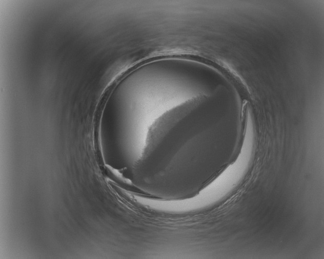 X0000060571173200511071011