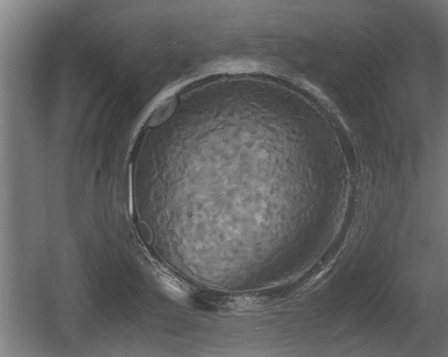 X0000060571175200511071011