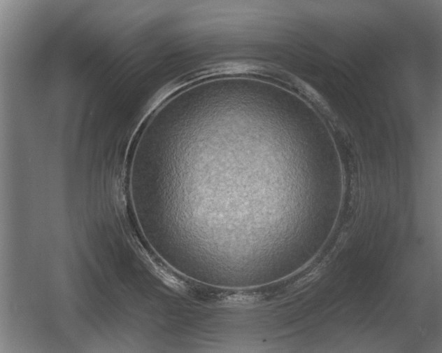 X0000060571178200511071011