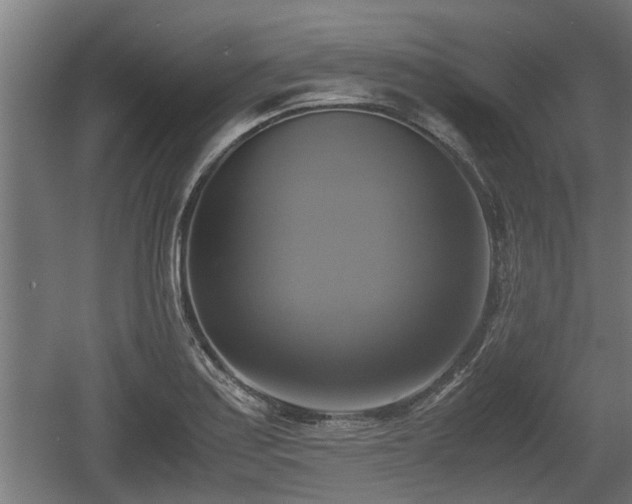 X0000060571179200511071011