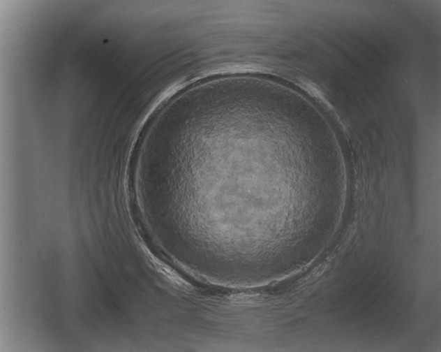 X0000060571181200511071011