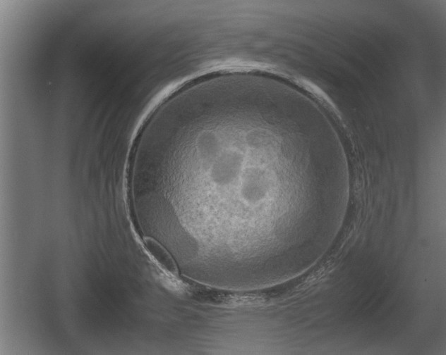 X0000060571183200511071011