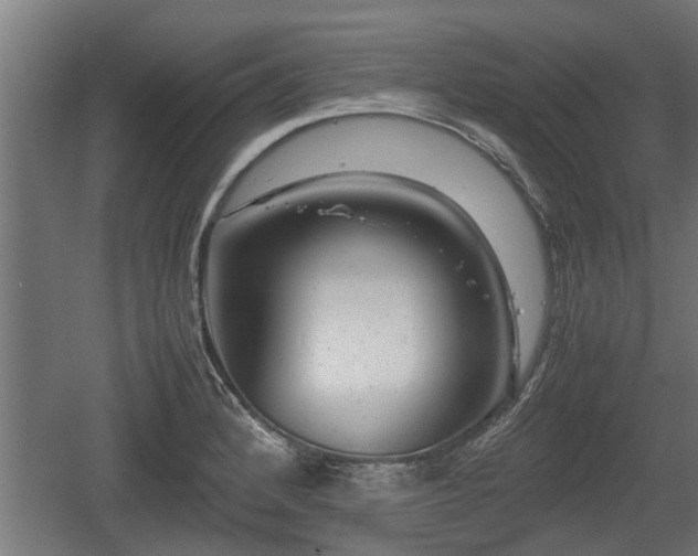 X0000060571184200511071011