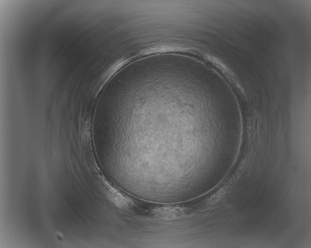 X0000060571185200511071011