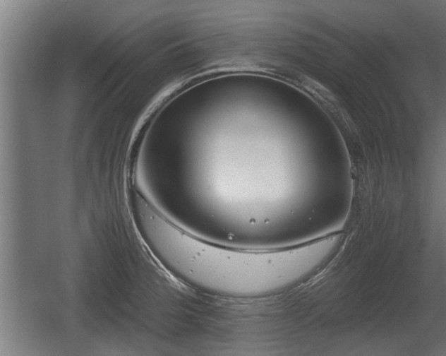 X0000060571188200511071011