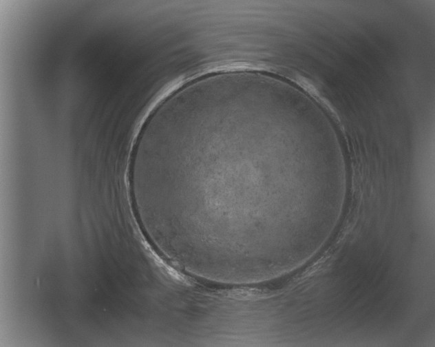 X0000060571189200511071011