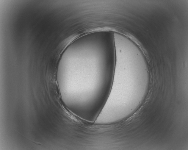 X0000060571193200511071011