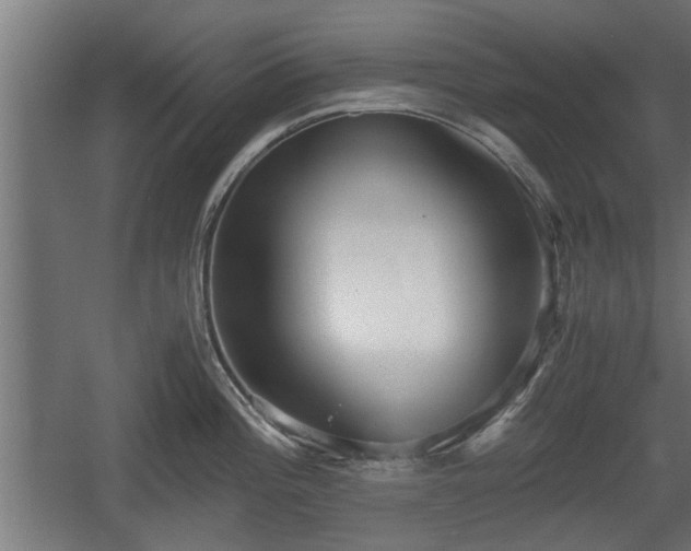 X0000060571196200511071011