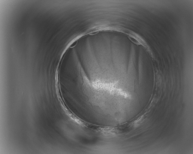 X0000060571198200511071011