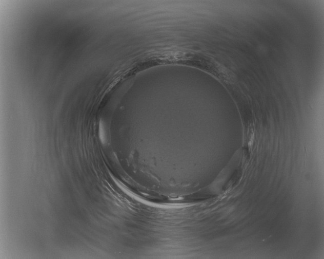 X0000060571202200511071010