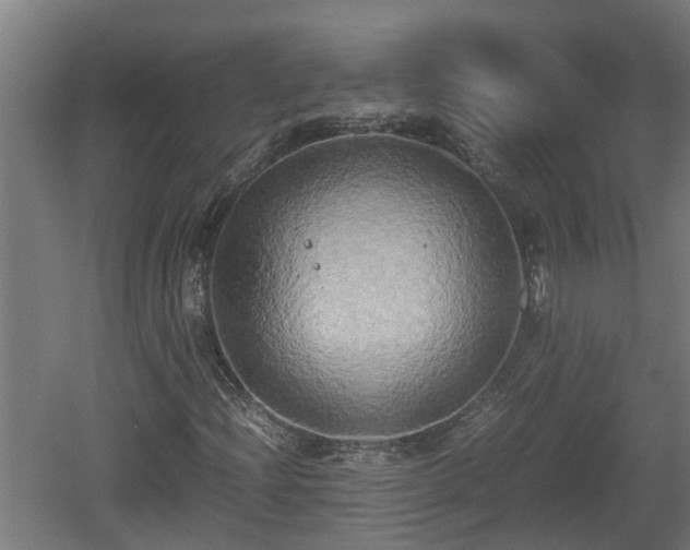 X0000060571204200511071010