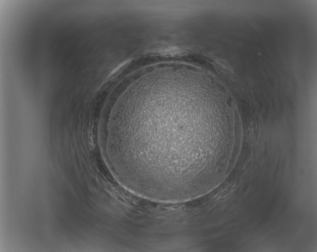 X0000060571205200511071010