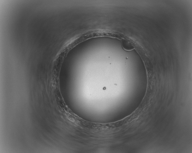 X0000060571207200511071010