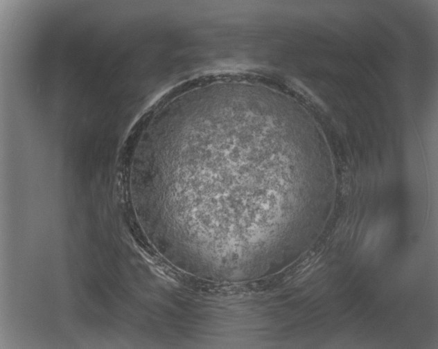 X0000060571208200511071010