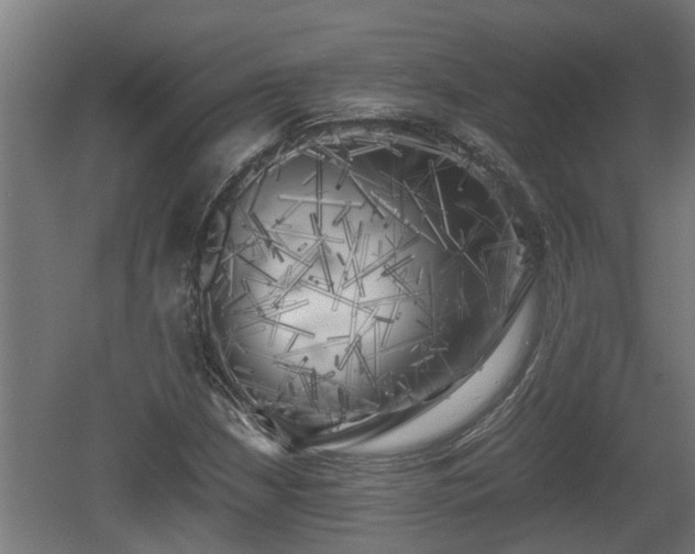 X0000060571210200511071010