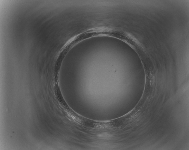 X0000060571213200511071010