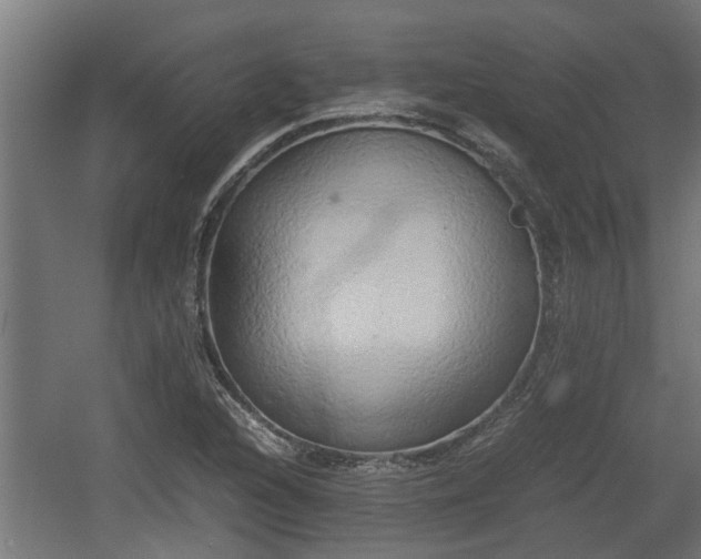 X0000060571216200511071010