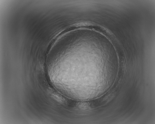 X0000060571217200511071010