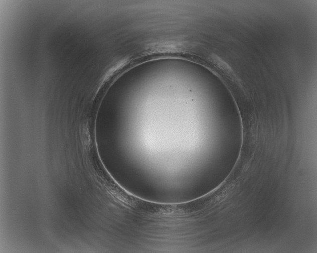 X0000060571218200511071010