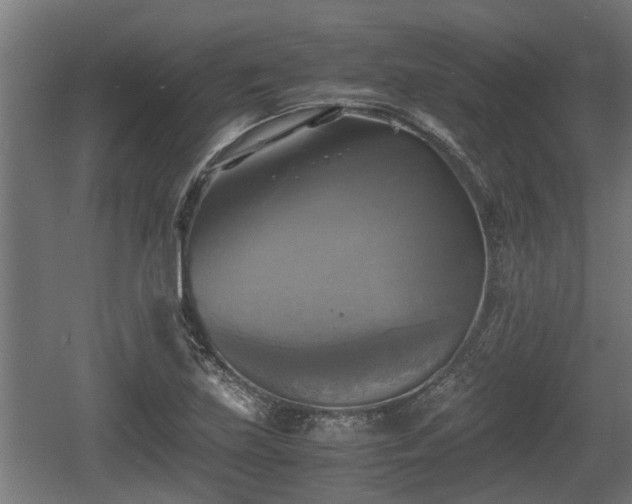 X0000060571219200511071010