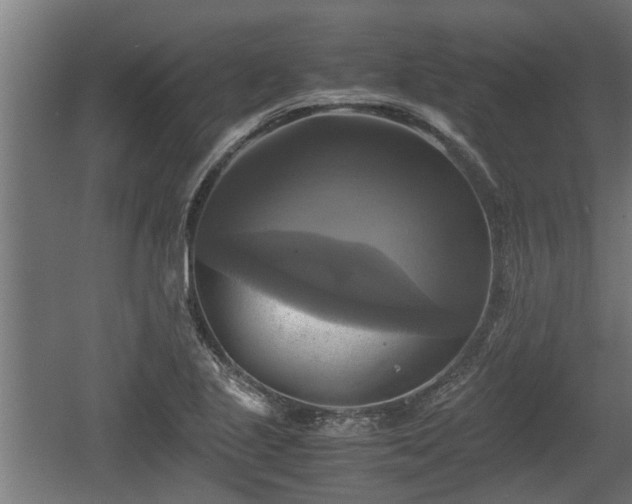 X0000060571221200511071010