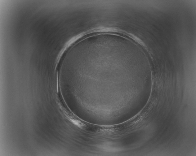 X0000060571223200511071010