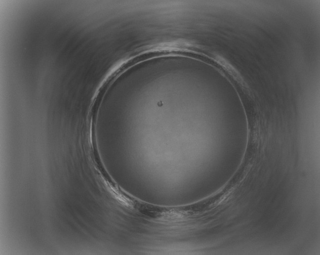 X0000060571224200511071010