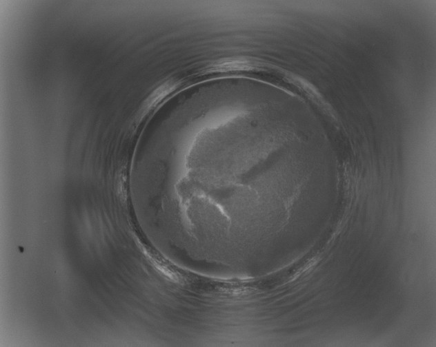 X0000060571225200511071010