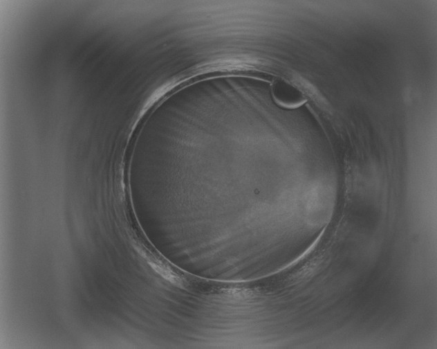 X0000060571226200511071010