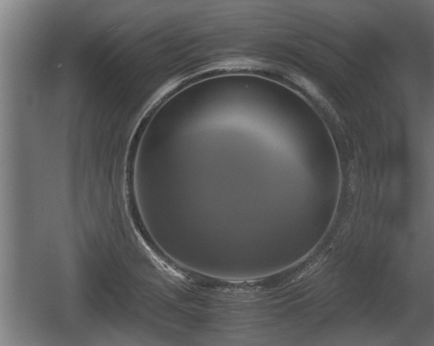 X0000060571229200511071010