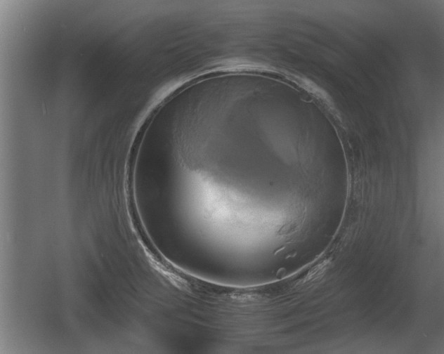 X0000060571231200511071011