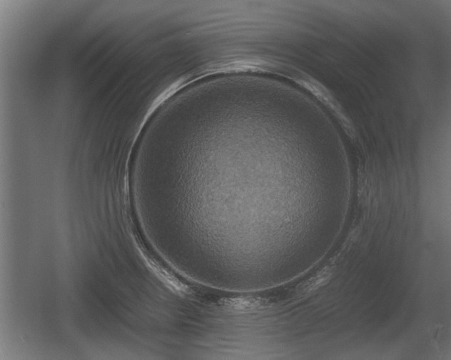 X0000060571234200511071011