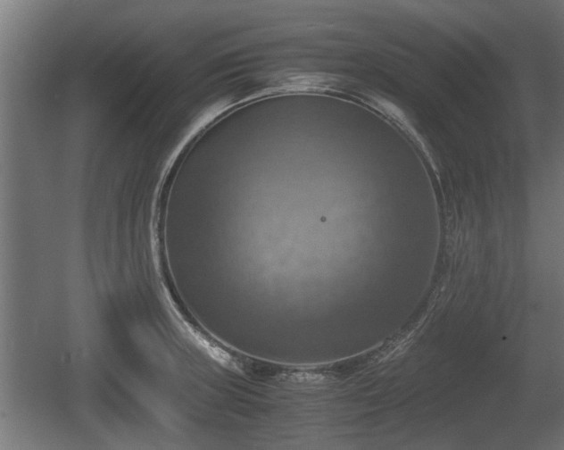 X0000060571235200511071011