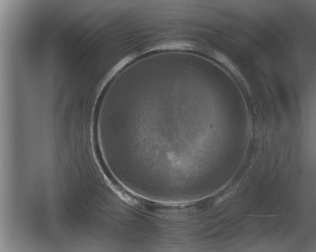 X0000060571237200511071011