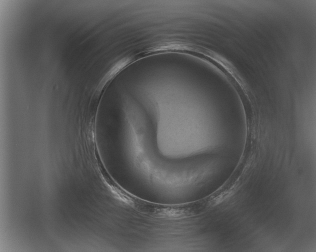 X0000060571241200511071011