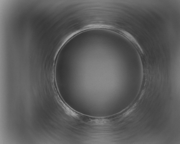 X0000060571244200511071011