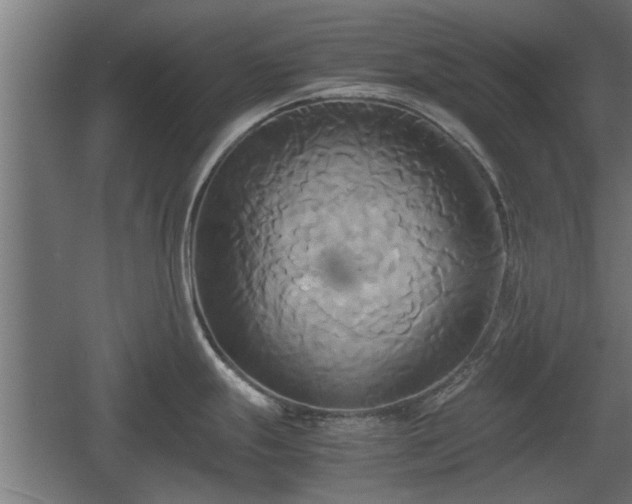 X0000060571247200511071011