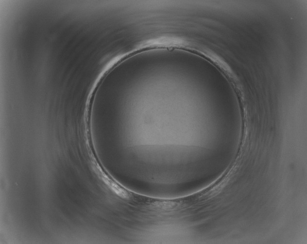 X0000060571248200511071011