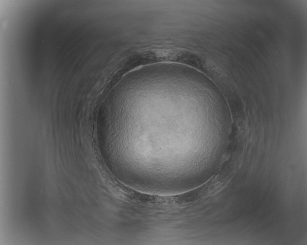 X0000060571249200511071010