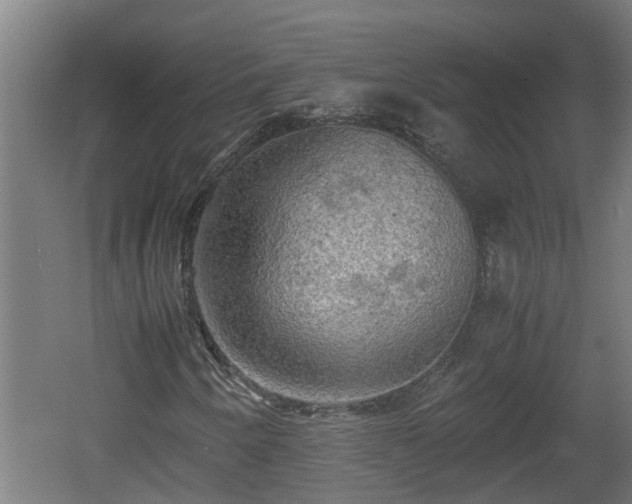 X0000060571250200511071010