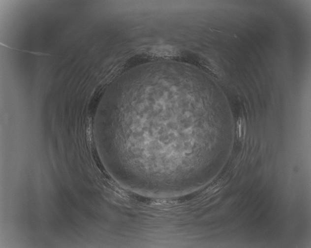 X0000060571251200511071010